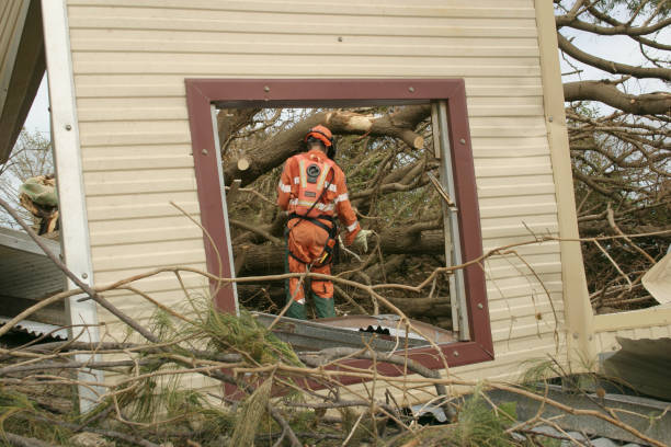 How Our Tree Care Process Works  in  Robinwood, MD